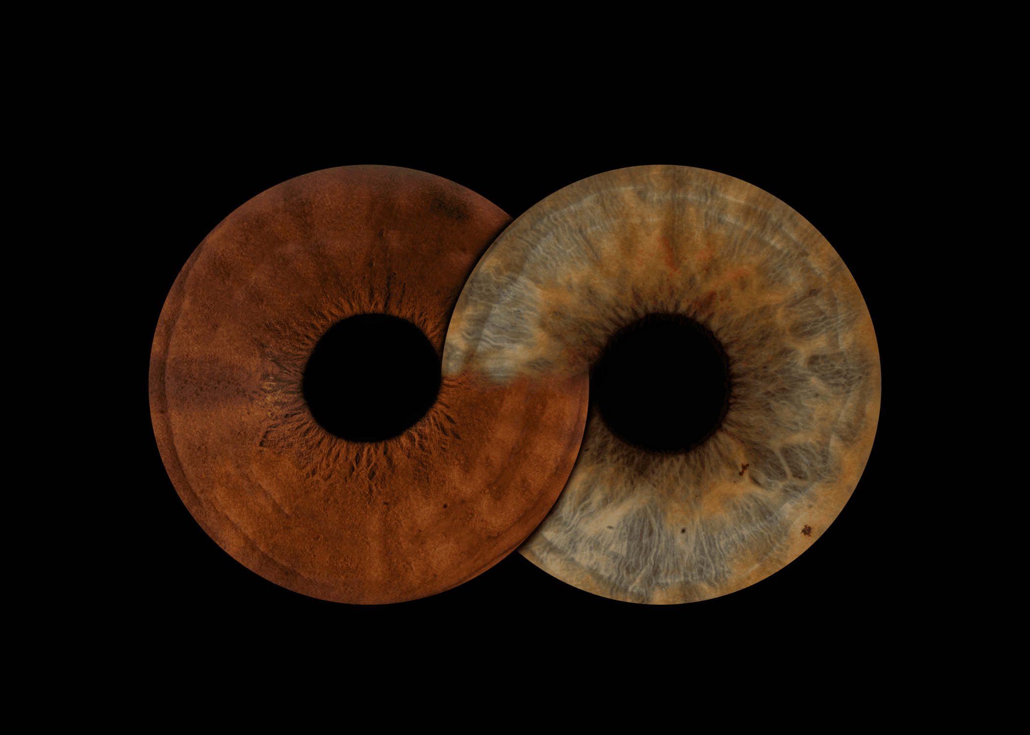 Iris Photography effect - Infinity