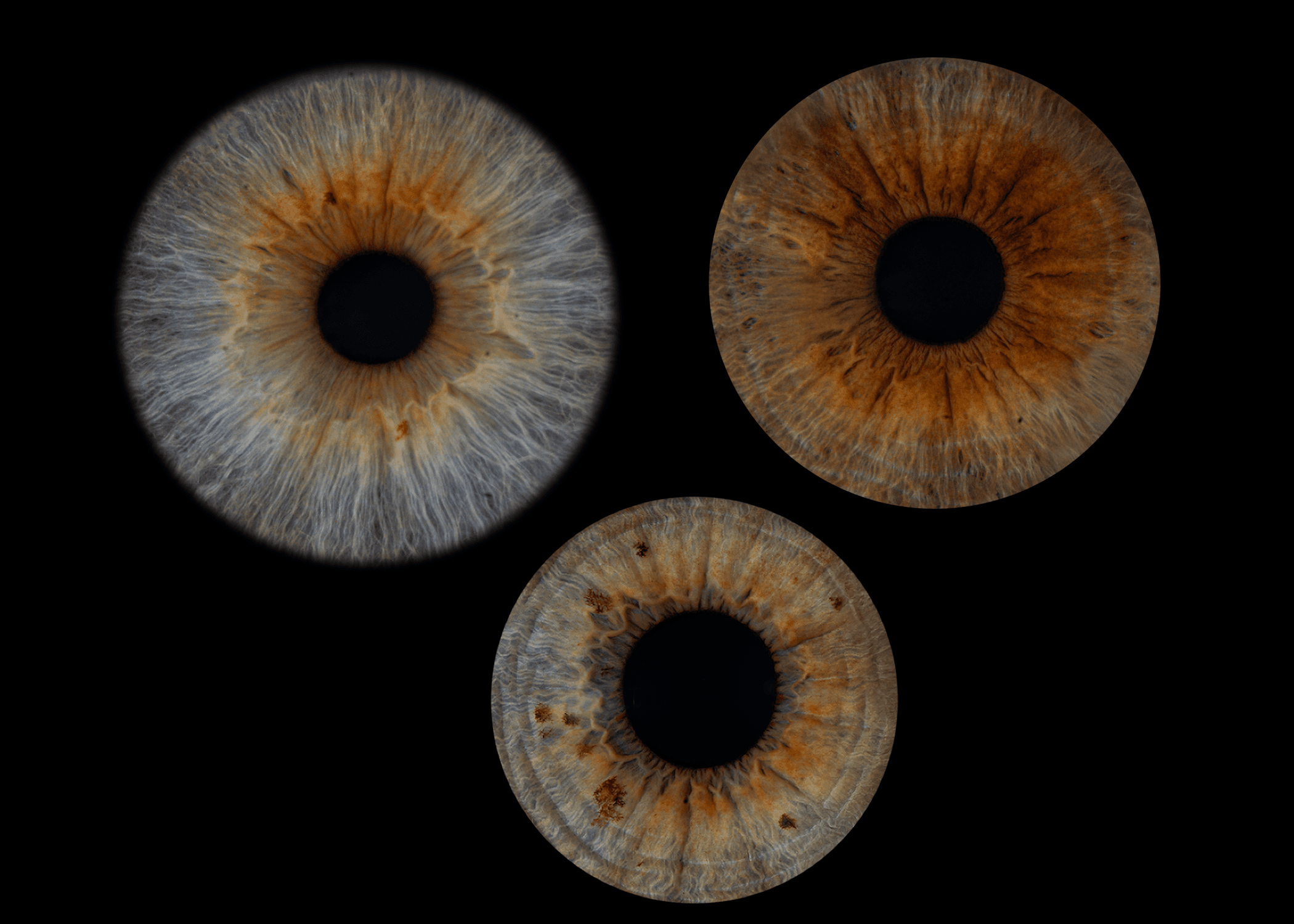 Iris Photography effect - Natural