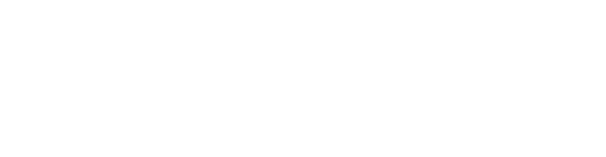 irisinframe logo